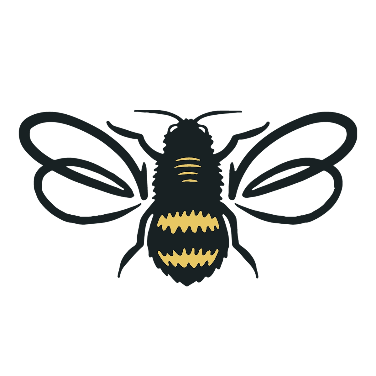 Experience Logo