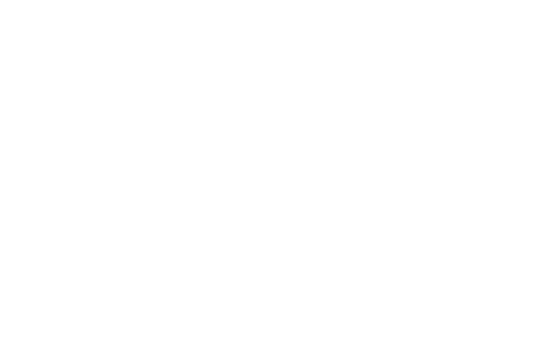 Experience Logo
