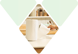 Bounty Paper Towel on kitchen counter