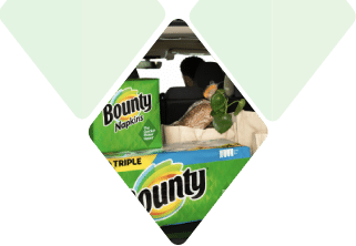 Packages of Bounty Paper Towels