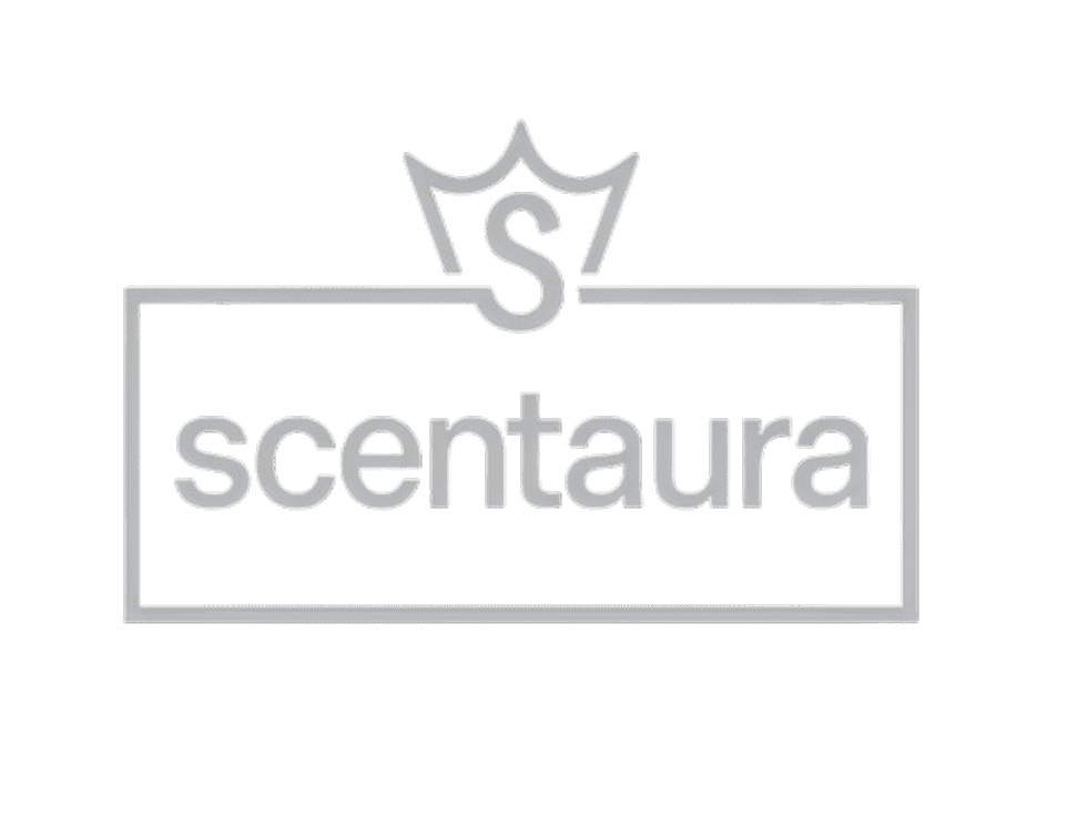 Experience Logo