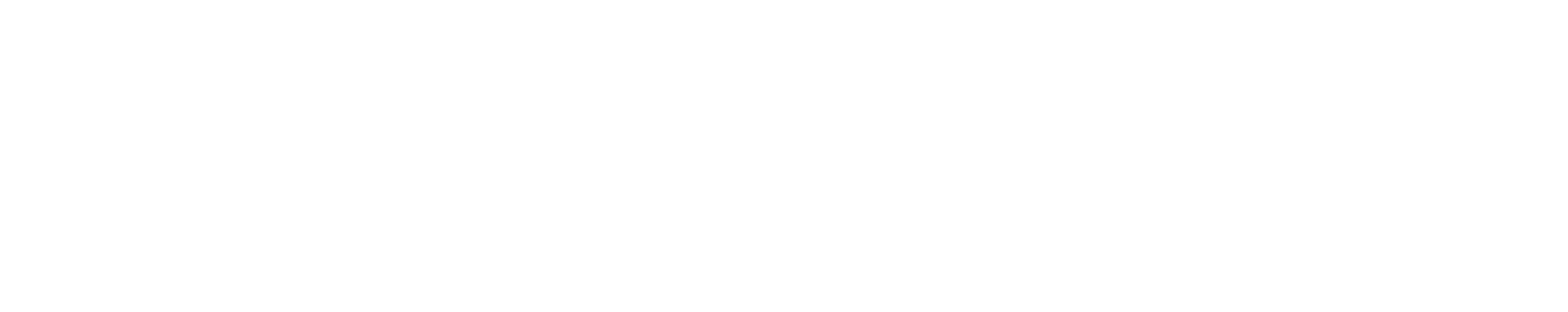 Experience Logo