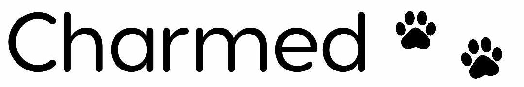 Experience Logo