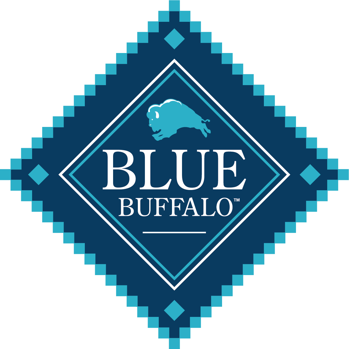 Experience Logo