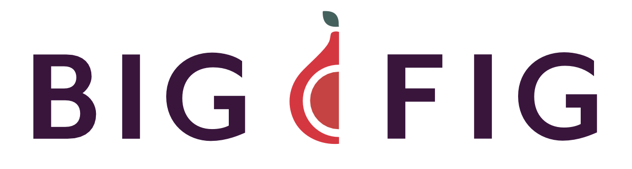 Experience Logo