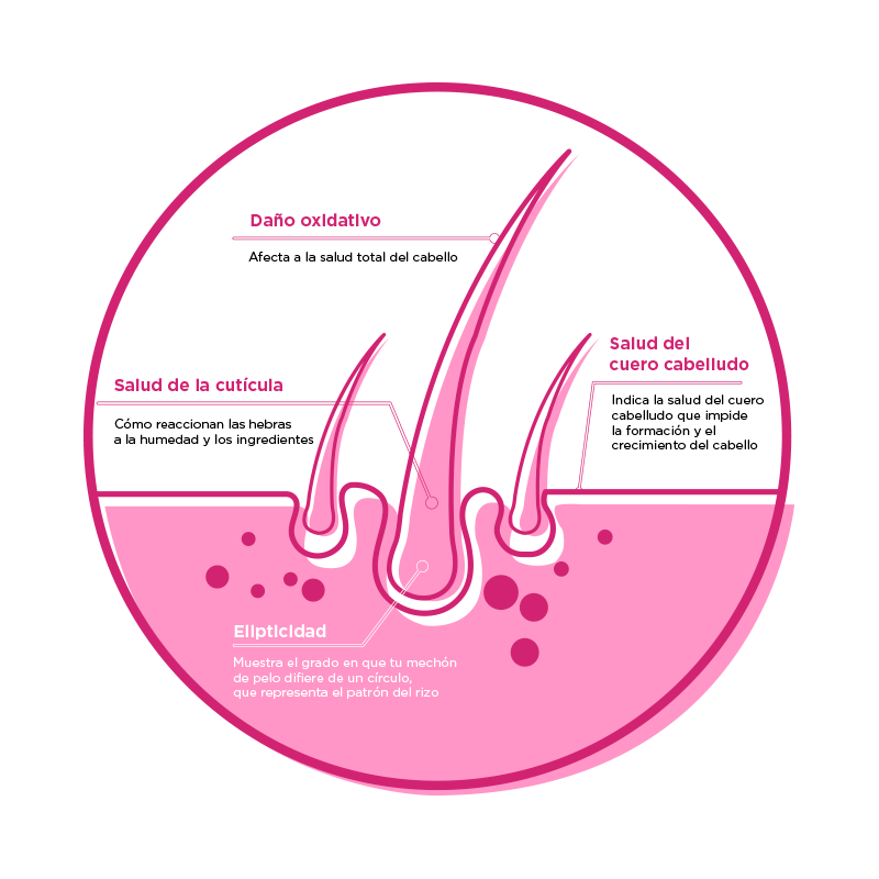 imagen de como llegamos a tu resultado